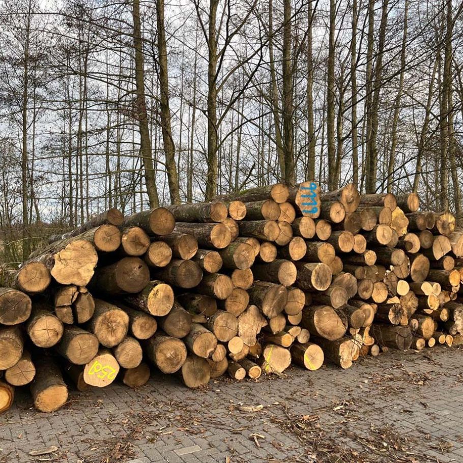 Haardhout kopen