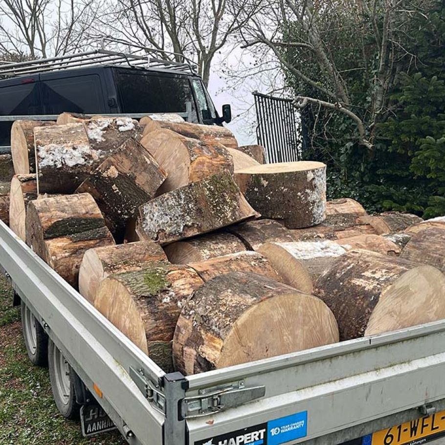 Haardhout kopen